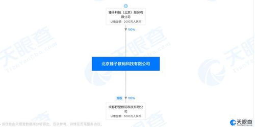 老赖CEO的自白 破产清算，远非罗永浩口中那般简单